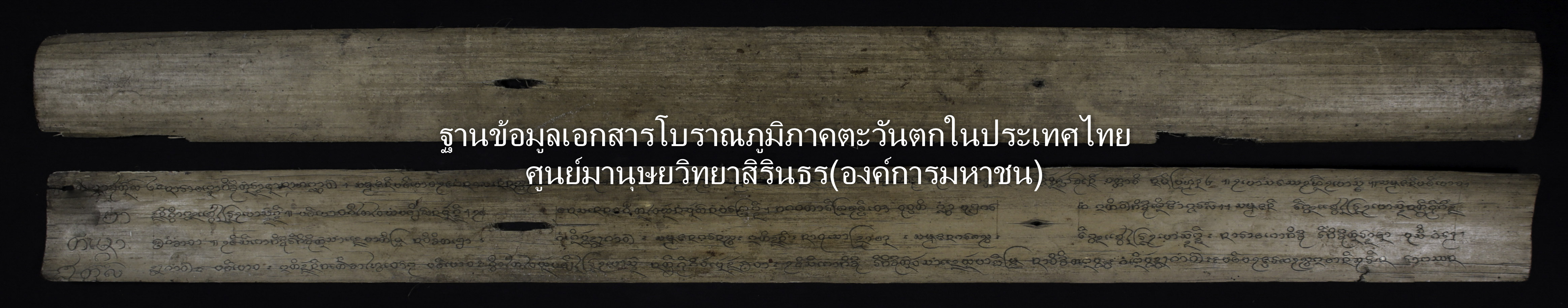 สัพปาฏิโมกข์ ผูกต้น