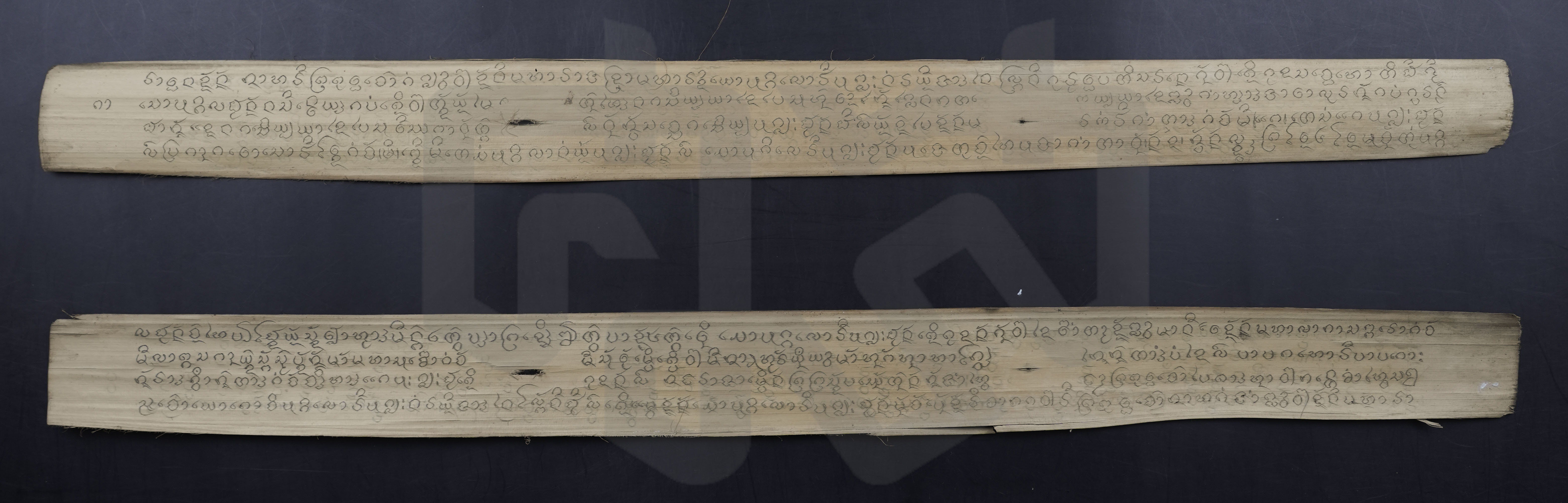 นิสสัยตัวเสวย